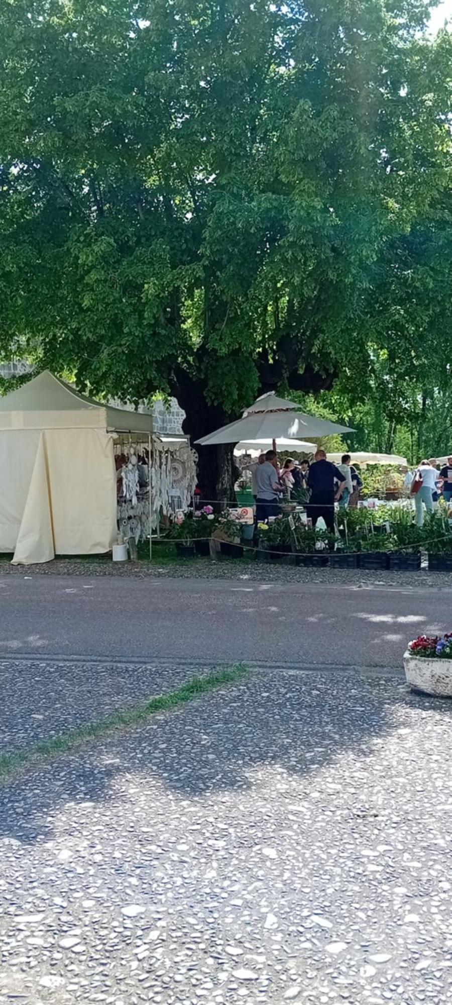 Tranquille Vienne Gites A Chirac Dept Charente Экстерьер фото